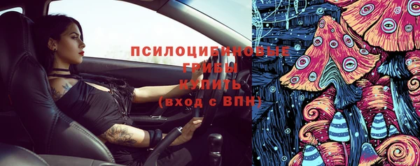 apvp Армянск