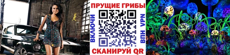 Псилоцибиновые грибы мухоморы  где купить наркоту  даркнет наркотические препараты  Королёв 
